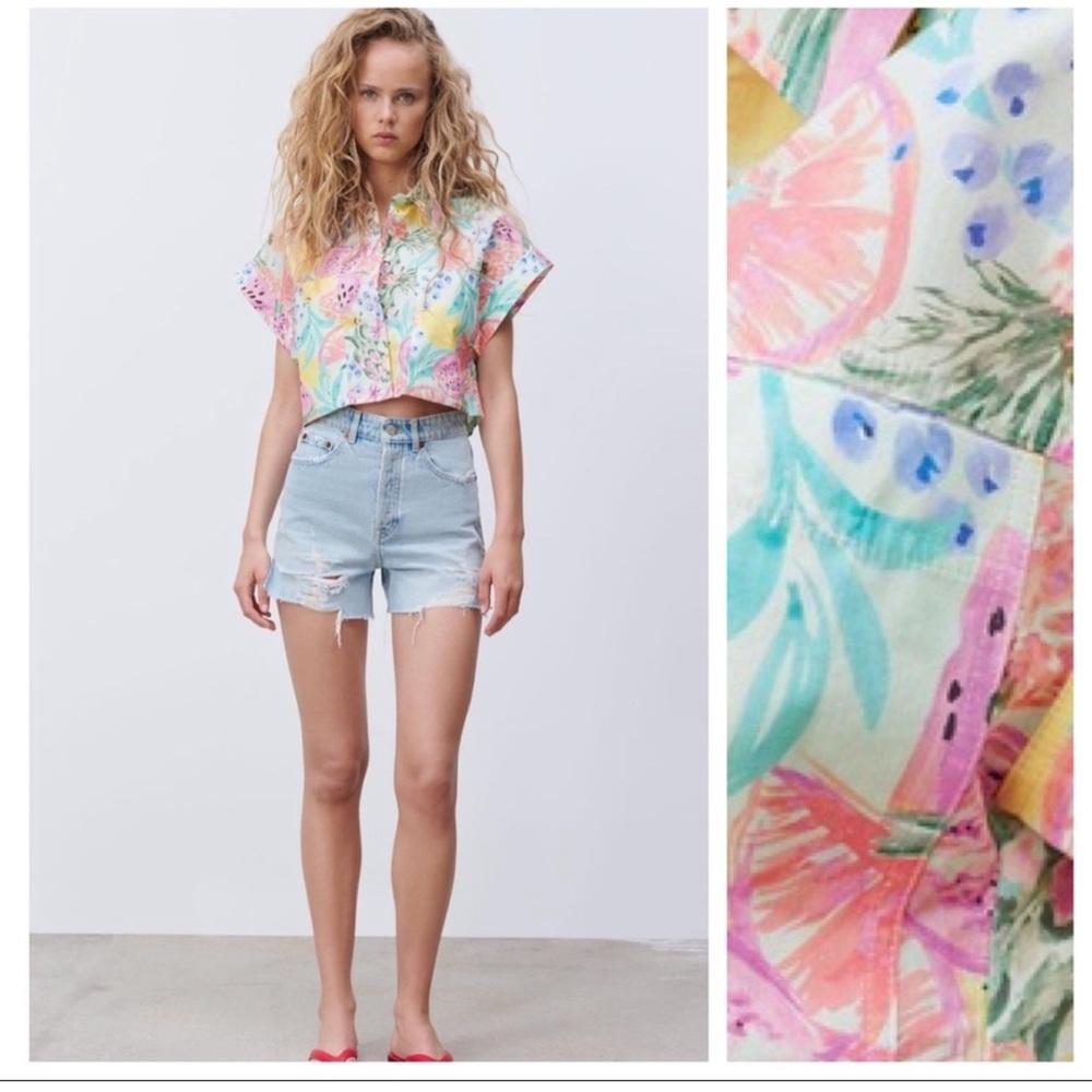 Zara Fruit Print Top